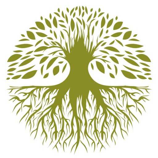 Blackpool Tree Surgeon